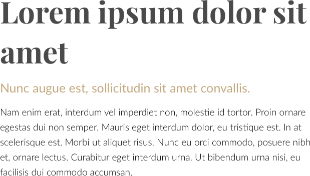 Salon Sopot typografia